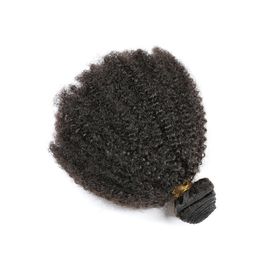 Porcellana Rapporto di trama dei capelli umani di afro di estensione riccia crespa vergine brasiliana dei capelli umani buon fornitore