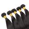 I capelli umani vergini diritti brasiliani puri di 100% impacchettano l'estensione dei capelli del visone fornitore