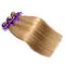 Estensione vergine diritta colorata dei capelli di colore di trama #27 del tessuto dei capelli di Ombre del brasiliano fornitore