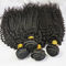 I capelli brasiliani puri ricci crespi di afro vergine umano non trattato dei capelli impacchettano il colore naturale fornitore