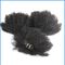 I capelli umani peruviani vergini non trattati impacchettano i capelli vergini ricci profondi peruviani fornitore