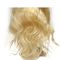 Colore riccio delle parrucche #613 della parte anteriore del pizzo dei capelli umani di Glueless con densità di 130% fornitore