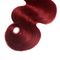 Corpo non trattato Wave Borgogna di rosso di vino del tessuto 1b/99j dei capelli di Ombre molle e serica fornitore