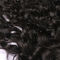 Non lunghezza media della chiusura vergine del pizzo 4x4 dei capelli di Remy con un ′ di 10 ′ - pollice del ′ di 20 ′ fornitore
