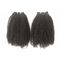 I capelli umani vergini peruviani crespi dei capelli ricci di afro impacchettano la densità completa nessun pidocchi nessun groviglio fornitore