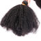 I capelli ricci crespi di afro umano peruviano impacchettano il colore naturale nessun odore chimico fornitore