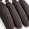 I capelli ricci crespi di Yaki impacchettano le donne 100 estensioni dei capelli umani non chimiche fornitore