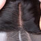 Chiusura libera del pizzo della parte 13x4 del malese nessun groviglio con la linea naturale dei capelli fornitore
